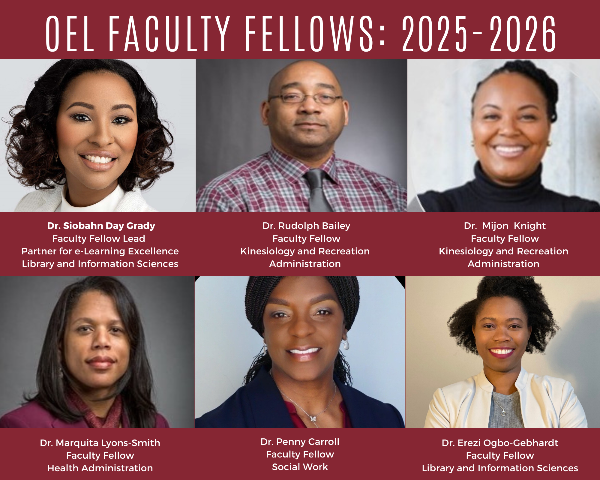 Faculty Fellows 2025-2026